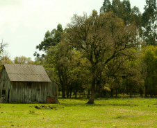 Prudentópolis.