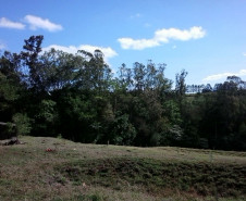 Amostras de água e de resíduos do Ribeirão do Ema foram coletadas por alunos do 2.º ano do Ensino Médio do Colégio Estadual Professor Francisco Villanueva, em Rolândia.