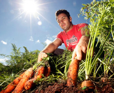 Agricultura Familiar, Cidade de Arapongas, familia de João Paulo e seus pais na horta. 24-09-13.