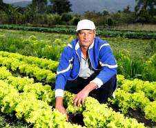 Paranaguá, agricultura familiar, produção orgânica do produtor João Luiz dos Santos. 06-09-13. 
