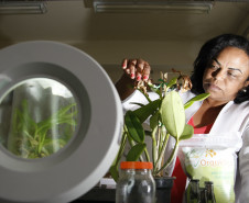 Colégio Estadual Paulo Leminski, professora Claudemira Vieira Lopes. 31-10-13. 