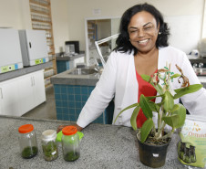 Colégio Estadual Paulo Leminski, professora Claudemira Vieira Lopes. 31-10-13. 