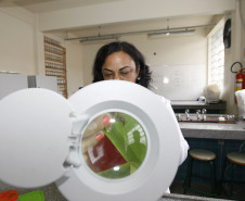 Colégio Estadual Paulo Leminski, professora Claudemira Vieira Lopes. 31-10-13.