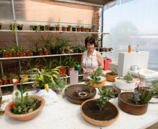 Apae de Palmeira, na foto Alice de Fatima de Paula. 31-10-13. 