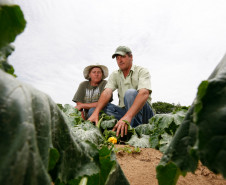 Agricultura familiar em Palmeira, na foto Reinaldo e Eva Gurski. 31-10-13.  