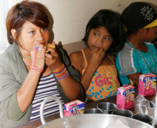 Uma vez por semana a Escola Estadual Indígena Pindoty, na ilha da Cotinga, em Paranaguá, recebe tubérculos, verduras, frutas e geleia da agricultura familiar. Com os produtos, a escola acrescentou receitas indígenas ao cardápio da merenda e tornou a alimentação dos alunos mais próxima aos costumes alimentares da comunidade guarani.