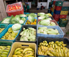11-03-13 - Colombo - AOPA, Associação para Desenvolvimento da Agroecologia.  