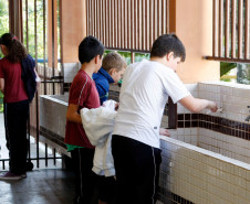 Nos registros preliminares, constam 899.335 alunos da educação básica, que abrange os ensinos fundamental, médio e profissional. Foto do Colégio Estadual Benedito João Cordeiro, em Curitiba, 2013.