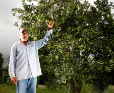 COAPROCOR, Cooperativa Agroindustrial de Produtores de Corumbataí do Sul. Na foto o agricultor Carlos Cezar Matesco. 12-03-14.  