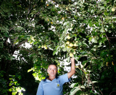 COAPROCOR, Cooperativa Agroindustrial de Produtores de Corumbatai do Sul, na foto o agricultor João Batista. 12-03-14.