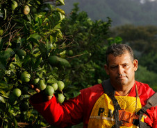 COAPROCOR, Cooperativa Agroindustrial de Produtores de Corumbatai do Sul, na foto Nelson Marques de Neira. 12-03-14.  