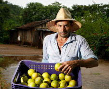 COAPROCOR, Cooperativa Agroindustrial de Produtores de Corumbatai do Sul, na foto Olavo Aparecido Luciano. 12-03-14. 