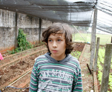 Os alunos do 9º ano do Colégio Estadual Rocha Pombo, em Capanema, no Sudoeste, agora têm uma nova atribuição na escola. Eles ficaram responsáveis pela horta da escola, de onde já foram colhidas verduras que enriqueceram a merenda escolar no almoço dos 192 estudantes que permanecem em tempo integral no colégio, na foto o aluno Adriano Bonassi. 13-05-14.