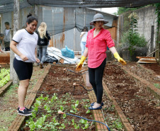 Os alunos do 9º ano do Colégio Estadual Rocha Pombo, em Capanema, no Sudoeste, agora têm uma nova atribuição na escola. Eles ficaram responsáveis pela horta da escola, de onde já foram colhidas verduras que enriqueceram a merenda escolar no almoço dos 192 estudantes que permanecem em tempo integral no colégio.13-05-14.