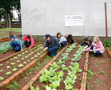 Colégio Estadual Amâncio Moro, em Corbélia, alunos na horta. 27-05-14.