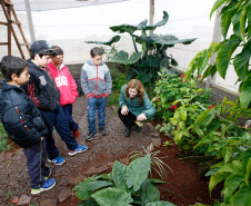 Colégio Estadual Amâncio Moro, em Corbélia, alunos observam a professora de biologia Giovana Fabres Matte. 27-05-14.