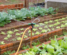 Colégio Estadual Amâncio Moro, em Corbélia, irrigação da horta com água da chuva captada. 27-05-14.