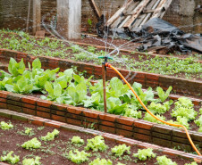 Colégio Estadual Amâncio Moro, em Corbélia, irrigação da horta com água da chuva captada. 27-05-14.