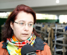 Novos mobiliários na Escola Nossa Senhora do Salete, na foto a secretaria Ligia de Lima. 06-06-14.