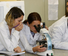 Os cursos técnicos oferecidos nas escolas estaduais do Paraná e seus parceiros (Senai e Senac) alcançam 95% da população do estado. Dos 399 municípios, apenas 76 não têm nenhuma opção de cursos técnicos profissionalizantes gratuitos oferecidos pela Secretaria de Estado da Educação, pelo Pronatec (Programa Nacional de Acesso ao Ensino Médio Técnico e Emprego) ou pela Escola Técnica Aberta do Brasil (e-Tec Brasil), do governo federal.