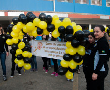 Os moradores do município de Rio Branco do Sul, na Região Metropolitana de Curitiba, comemoram nessa semana o centenário de fundação do Colégio Estadual Maria da Luz Furquim. Fundada em 1914, a escola tornou-se referência para os 30 mil habitantes do município.