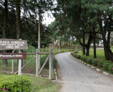 O Centro Estadual Florestal de Educação Profissional (Cefep) Presidente Costa e Silva, na cidade de Irati, no Centro-Sul, é o único colégio público do Paraná que oferece o curso técnico em Florestas. A escola completou 40 anos em 2013 e é referência no Brasil na formação de técnicos para trabalhar com florestas. 18-08-14.