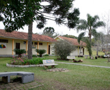 O Centro Estadual Florestal de Educação Profissional (Cefep) Presidente Costa e Silva, na cidade de Irati, no Centro-Sul, é o único colégio público do Paraná que oferece o curso técnico em Florestas. A escola completou 40 anos em 2013 e é referência no Brasil na formação de técnicos para trabalhar com florestas. 18-08-14.