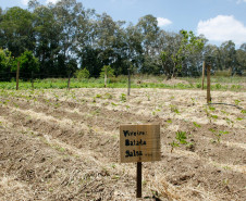 Cidade de Rio Negro, Colégio Agrícola Lysimaco Ferreira da Costa. 09-10-14. 