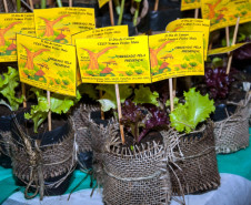 Cerca de 500 alunos do 9° ano de várias escolas da Região Metropolitana de Curitiba participaram nesta quarta-feira (5) da segunda edição do “Dia do Campo”, no Centro Estadual de Educação Profissional Newton Freire Maia, em Pinhais. Os estudantes foram acompanhados pelos pais e aproveitaram para conhecer e fazer as inscrições nos cursos oferecidos pela escola. A feira agrícola aconteceu em comemoração ao Dia do Técnico em Agropecuária.
