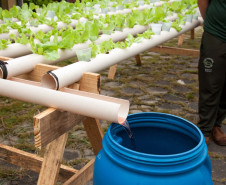 Cerca de 500 alunos do 9° ano de várias escolas da Região Metropolitana de Curitiba participaram nesta quarta-feira (5) da segunda edição do “Dia do Campo”, no Centro Estadual de Educação Profissional Newton Freire Maia, em Pinhais. Os estudantes foram acompanhados pelos pais e aproveitaram para conhecer e fazer as inscrições nos cursos oferecidos pela escola. A feira agrícola aconteceu em comemoração ao Dia do Técnico em Agropecuária.