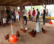 Cerca de 500 alunos do 9° ano de várias escolas da Região Metropolitana de Curitiba participaram nesta quarta-feira (5) da segunda edição do “Dia do Campo”, no Centro Estadual de Educação Profissional Newton Freire Maia, em Pinhais. Os estudantes foram acompanhados pelos pais e aproveitaram para conhecer e fazer as inscrições nos cursos oferecidos pela escola. A feira agrícola aconteceu em comemoração ao Dia do Técnico em Agropecuária.