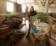 Cerca de 500 alunos do 9° ano de várias escolas da Região Metropolitana de Curitiba participaram nesta quarta-feira (5) da segunda edição do “Dia do Campo”, no Centro Estadual de Educação Profissional Newton Freire Maia, em Pinhais. Os estudantes foram acompanhados pelos pais e aproveitaram para conhecer e fazer as inscrições nos cursos oferecidos pela escola. A feira agrícola aconteceu em comemoração ao Dia do Técnico em Agropecuária.