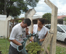 Plantas aromáticas e pista tátil oferecem novas experiências aos alunos especiais de escola em Tapejara, Noroeste do Paraná.