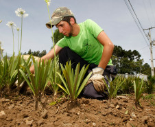 Um dos dois funcionários contratados é colega de escola de Luan. O convite para vaga agradou o estudante do curso técnico em Energias Alternativas, Caio Murilo Mocelin. “Eu já trabalhava no ramo de agroecologia e queria fazer uma coisa diferente quando o Luan me chamou para trabalhar com ele”, disse. 11-11-14.