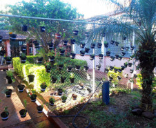 O clima da primavera inspira a comunidade do Colégio Estadual Horácio Ribeiro dos Reis, em Cascavel, no Oeste do Estado. Nesta semana, estão sendo plantados diversos tipos de flores, como orquídeas, gerânios, onze horas, cravos, begônias, operárias, espadas de São Jorge.