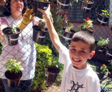 O clima da primavera inspira a comunidade do Colégio Estadual Horácio Ribeiro dos Reis, em Cascavel, no Oeste do Estado. Nesta semana, estão sendo plantados diversos tipos de flores, como orquídeas, gerânios, onze horas, cravos, begônias, operárias, espadas de São Jorge.