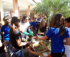 O clima da primavera inspira a comunidade do Colégio Estadual Horácio Ribeiro dos Reis, em Cascavel, no Oeste do Estado. Nesta semana, estão sendo plantados diversos tipos de flores, como orquídeas, gerânios, onze horas, cravos, begônias, operárias, espadas de São Jorge.