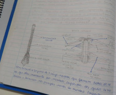 O projeto dos alunos do Ceep de Cascavel recebeu três prêmios: o terceiro lugar na categoria Áreas do Conhecimento, Engenharia; Menção Honrosa na categoria Inovação, e o Prêmio Vivência Estudantil