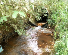Os alunos do curso Técnico de Meio Ambiente do Colégio Estadual Tancredo Neves, em Francisco Beltrão, participaram, nesta segunda-feira (24), da terceira e última etapa de monitoramento e coleta de amostras de água do Córrego Três Pioneiros, que integra a bacia do Rio Marrecas, próximo à escola.