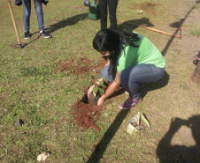 Alunos do Colégio Estadual Carmelina Ferreira Pedroso, em Arapoti, fecharam o ano letivo de 2014 com uma grande conquista, o 1º lugar nacional e o 20º lugar mundial em um concurso internacional de plantio de árvores promovido pela Eno Tree Planting Day. Ao todo, foram 3.741 mudas de diferentes espécies de árvores plantadas no município.