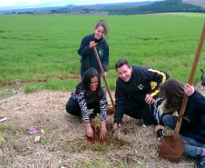 Alunos do Colégio Estadual Carmelina Ferreira Pedroso, em Arapoti, fecharam o ano letivo de 2014 com uma grande conquista, o 1º lugar nacional e o 20º lugar mundial em um concurso internacional de plantio de árvores promovido pela Eno Tree Planting Day. Ao todo, foram 3.741 mudas de diferentes espécies de árvores plantadas no município.