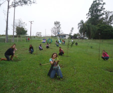 O Colégio Estadual Tiradentes, em Umuarama, também foi destaque mundial. Ele obteve a segunda colocação nacional e 63ª geral, com o plantio de 1.046 árvores. A ação é desenvolvida pela professora de Geografia Inês Lourenço Augusto, que coordena o projeto Árvores da Vida.