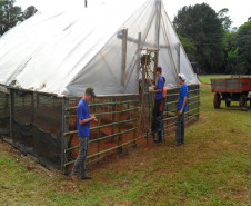 Organizada pelos alunos do Colégio Agrícola Estadual Manoel Ribas, EXPOAGRI reuniu comunidade para mostrar o que é feito em sala de aula.