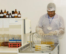 Instituto de Tecnologia do Paraná (Tecpar) realiza rigorosos testes de qualidade na merenda antes que ela chegue aos pratos de 1,3 milhão de estudantes. 21-01-15.