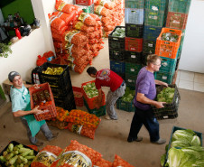 Secretaria de Estado da Educação do Paraná, Cooperativa AOPA de agricultura familiar, agricultores separam alimentos para entrega nas escolas. 14-04-15.