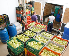 Secretaria de Estado da Educação do Paraná, Cooperativa AOPA de agricultura familiar, agricultores separam alimentos para entrega nas escolas. 14-04-15.
