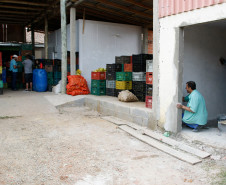 Secretaria de Estado da Educação do Paraná, Cooperativa AOPA de agricultura familiar, agricultores separam alimentos para entrega nas escolas. 14-04-15.
