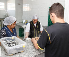 Pesquisa feita pela Secretaria de Estado da Educação aponta que 4.428 alunos da rede estadual de ensino têm alguma necessidade de alimentação especial. Isso representa menos de 1% do total dos 1,1 milhão de alunos (0,40%). O levantamento foi feito em julho.
