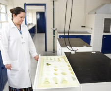 Os estudantes de Curitiba e da Região Metropolitana terão mais duas opções de cursos técnicos profissionalizantes na rede estadual de ensino, em 2016. A partir do próximo ano, o Centro Estadual de Educação Profissional (Ceep) de Curitiba, no bairro Boqueirão, vai ofertar os cursos técnico em Mecânica e técnico em Biotecnologia. 
