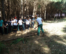 Encontro serviu para alunos do 9° ano de escolas da região conhecerem cursos e estrutura do centro florestal de educação profissional.